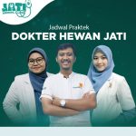 jati animal clinic